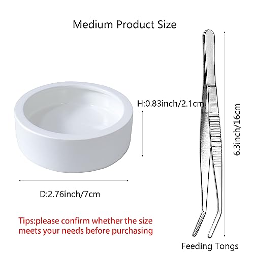 2 Pk Bearded Dragon Dish Reptile Food Bowl (M, White)