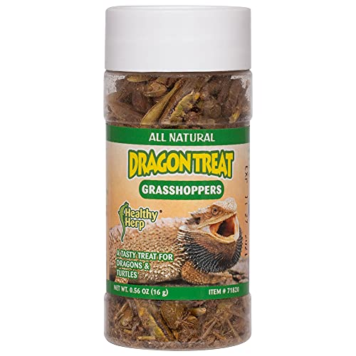 Live Insects