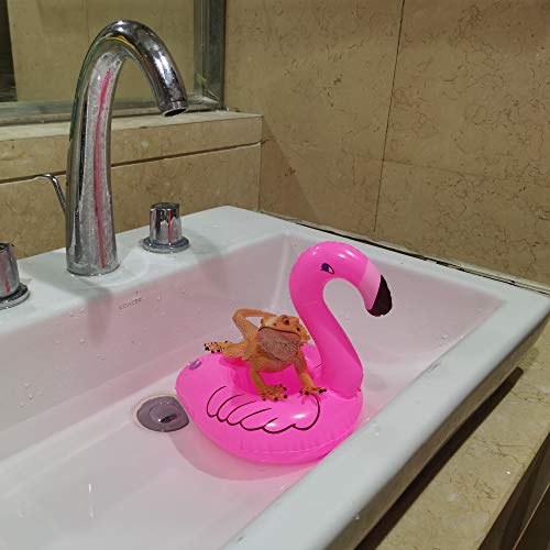 Bearded Dragon Lizard Bathe Float Bathtub Toy Set