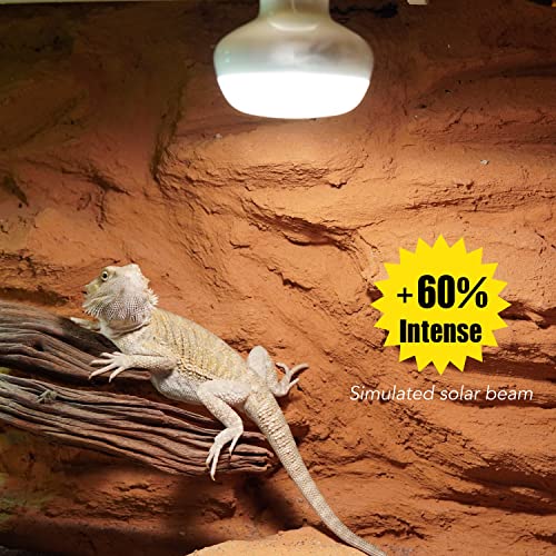 Intense Basking Spot for Bearded Dragon - 100W