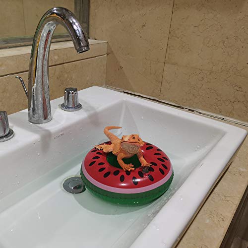 Bearded Dragon Lizard Bathe Float Bathtub Toy Set