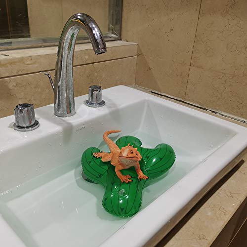 Bearded Dragon Lizard Bathe Float Bathtub Toy Set