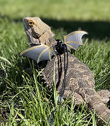 Bearded Dragon Harness with Adjustable Leather Wings
