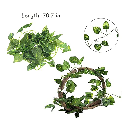 Versatile Reptile Habitat Decor for Bearded Dragons
