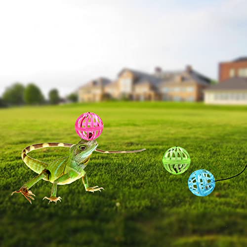 Bearded Dragon Toy Bell Balls: Pack of 6