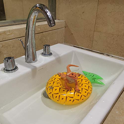 Bearded Dragon Lizard Bathe Float Bathtub Toy Set