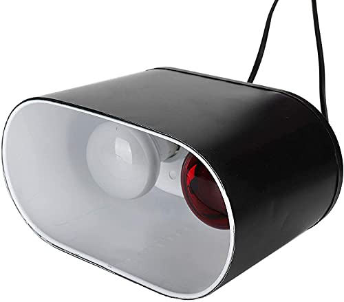 Dual Reptile Light Fixture with Deep Heat Lamps