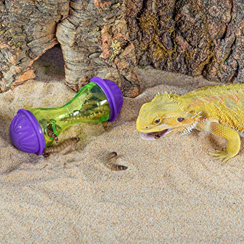 Bearded Dragon Toys and Terrarium Decor Set