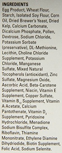 Fluker's High AMP Boost Reptile Supplement, 50gm