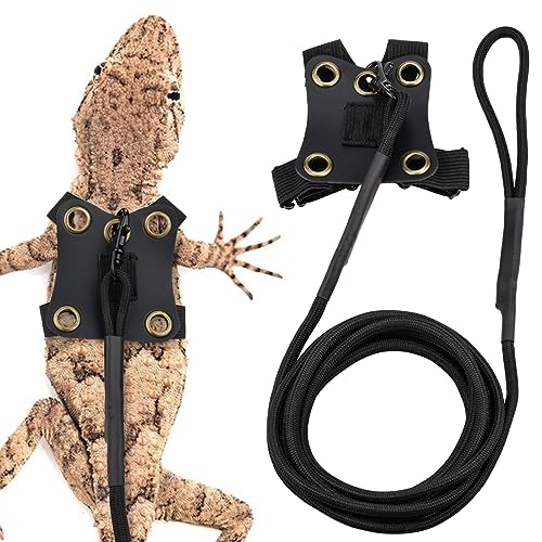 Bearded Dragon Harness - Adjustable Lizard Leash