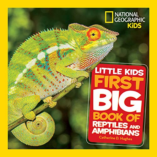 Reptiles and Amphibians Book for Little Kids
