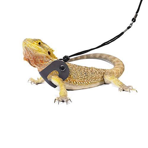 Bearded Dragon Harness and Leash - Adjustable, Soft Leather
