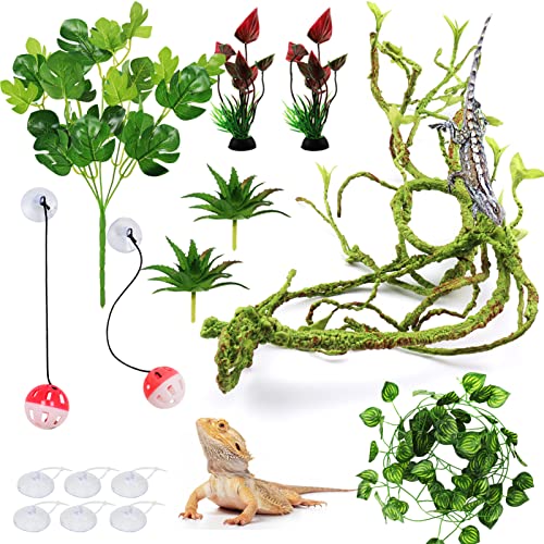 Bearded Dragon Accessories: Plants, Hanging Vines, Toys, Tank