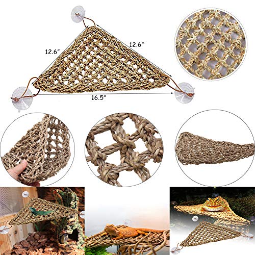 Bearded Dragon Hammock & Climbing Jungle Vines Set