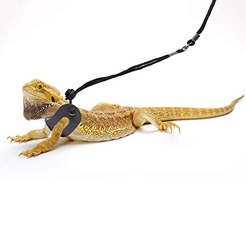 Bearded Dragon Harness and Leash - Adjustable, Soft Leather