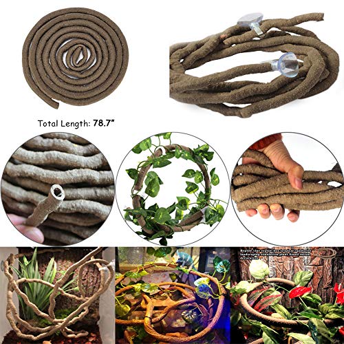 Bearded Dragon Hammock & Climbing Jungle Vines Set