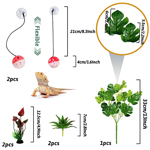 Bearded Dragon Accessories: Plants, Hanging Vines, Toys, Tank
