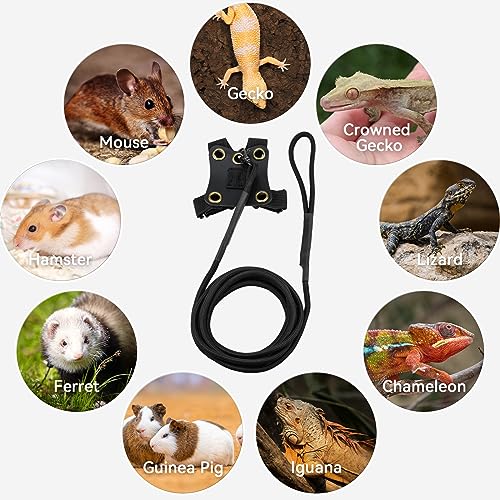 Bearded Dragon Harness - Adjustable Lizard Leash