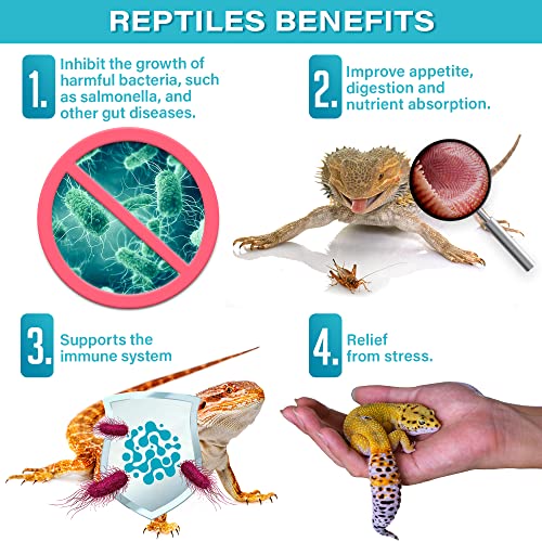 Gargeer Reptile Probiotics: Enhance Appetite & Immunity
