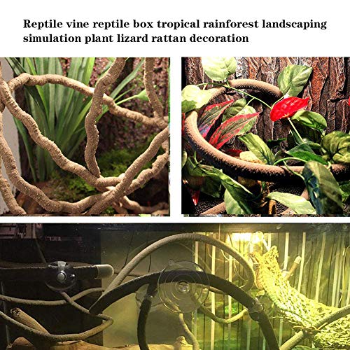 Bearded Dragon Hammock & Climbing Jungle Vines Set