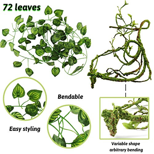 Bearded Dragon Accessories: Plants, Hanging Vines, Toys, Tank