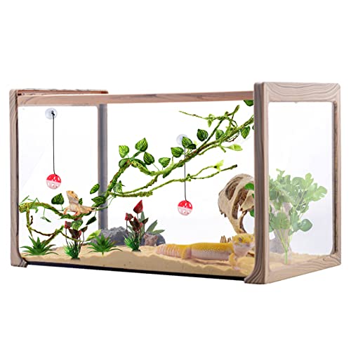 Bearded Dragon Accessories: Plants, Hanging Vines, Toys, Tank