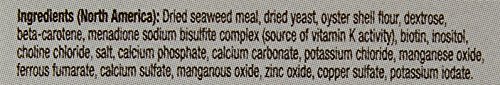 Bearded Dragon Multi Vitamin Powder Supplement, 1.1 Oz