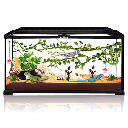Bearded Dragon Accessories: Plants, Hanging Vines, Toys, Tank