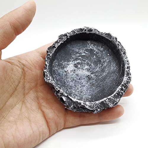 Reptile Water Bowls with Tongs - Bearded Dragon Niche