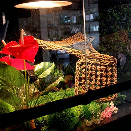 Bearded Dragon Hammock: Natural Seagrass Habitat & Jungle Climber