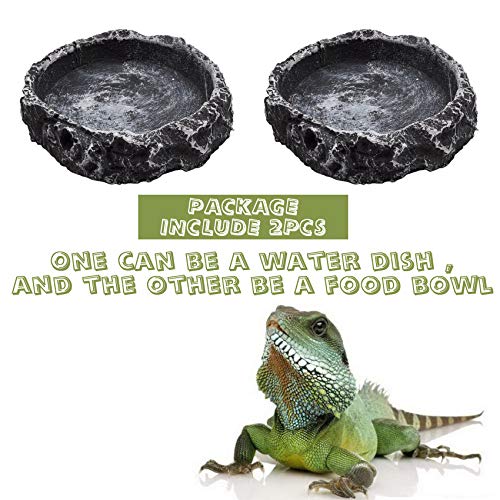 Reptile Water Bowls with Tongs - Bearded Dragon Niche