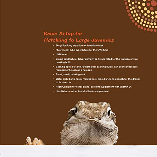 Complete Bearded Dragon Care Guide: 2nd Edition (CompanionHouse)
