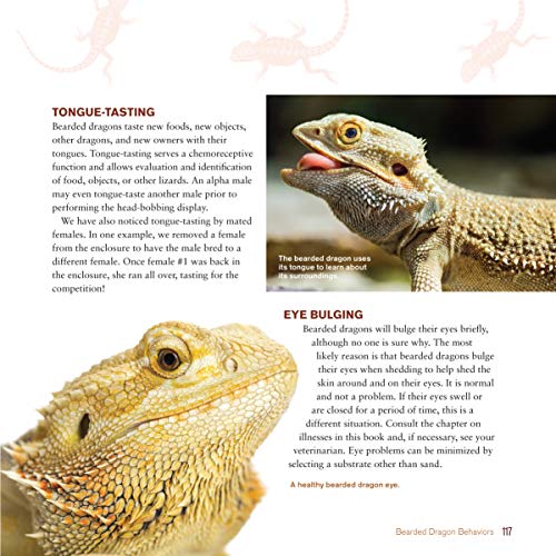 Complete Bearded Dragon Care Guide: 2nd Edition (CompanionHouse)