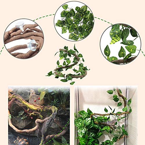 Bearded Dragon Hammock: Natural Seagrass Habitat & Jungle Climber