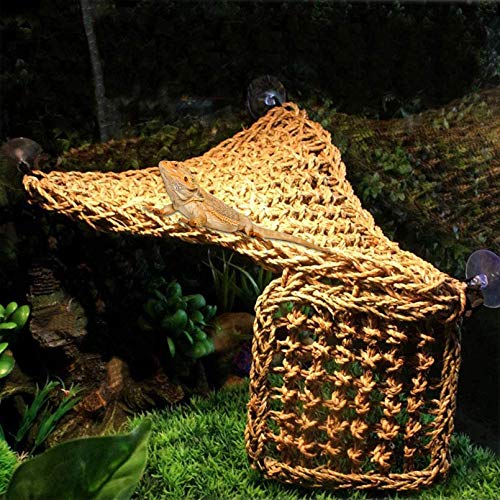 Bearded Dragon Hammock: Natural Seagrass Habitat & Jungle Climber