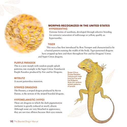 Complete Bearded Dragon Care Guide: 2nd Edition (CompanionHouse)