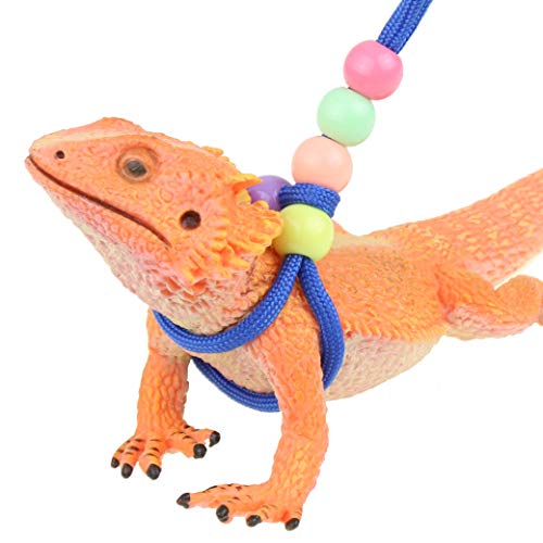 Leashes and Harnesses
