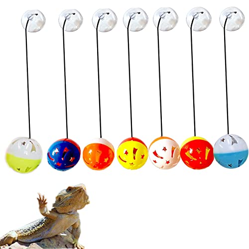 Toys and Enrichment