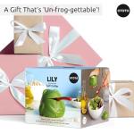 Ceramic Frog Salt Cellar with Spoon - 170g