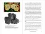 Taming the Truffle: History and Science Explored