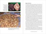 Taming the Truffle: History and Science Explored