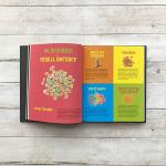 Snoop Dogg's From Crook to Cook Cookbook