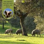 Iberico Ham Shoulder with Stand and Knife 10 lb