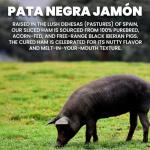 Iberico Ham Slices - Premium Acorn-Fed Meat