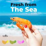 Fusion Select Prawn Crackers - Savory Seafood Snack