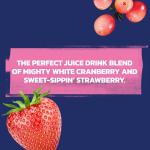 Ocean Spray White Cran-Strawberry Juice Drink 64 Oz