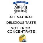 Blueberry Lemonade, All Natural, 52 Fl Oz
