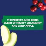 Ocean Spray Cran-Apple Juice, 10 Oz Bottles, 6 Pack