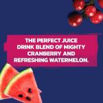 Ocean Spray Cran-Watermelon Juice Drinks, 6 Pack