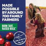 Ocean Spray Cran-Apple Juice, 10 Oz Bottles, 6 Pack